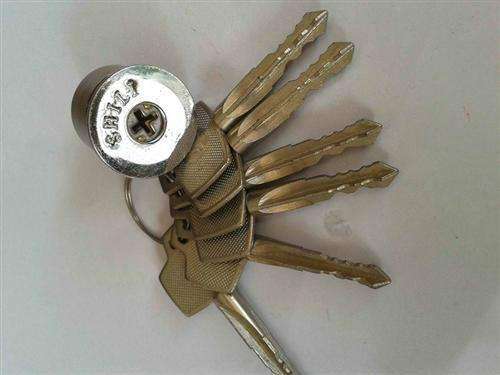 把克莱奥数据文件LspCAD6软件和模拟